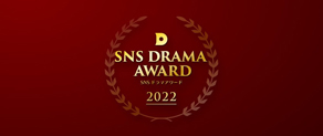 SNS DRAMA AWARD